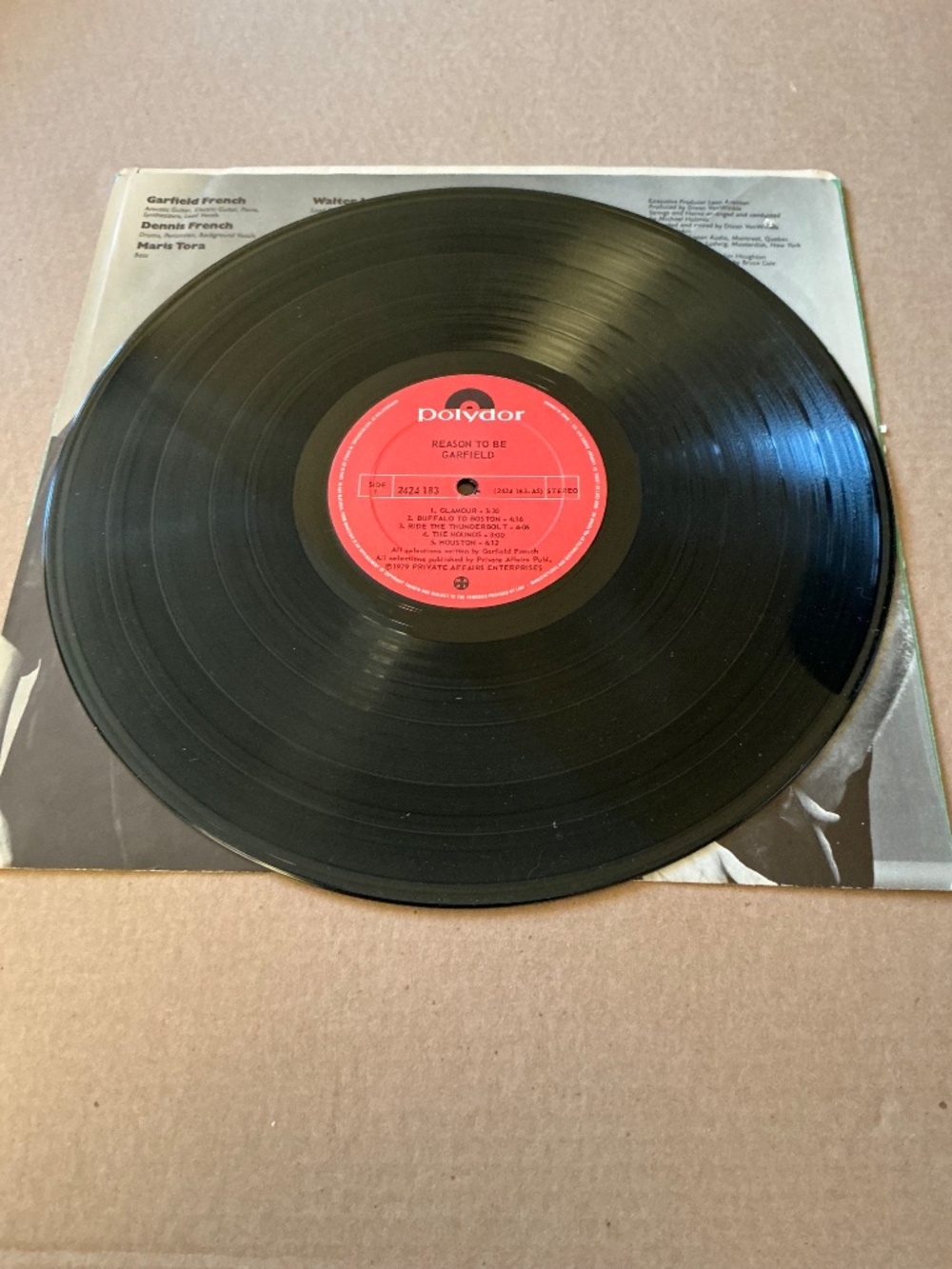 Garfield Reason To Be Vinyl Polydor 1979 - Picture 4 of 13